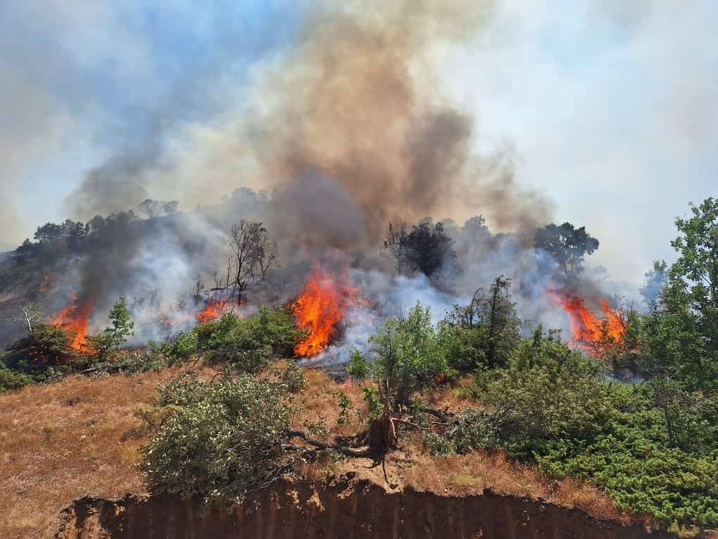 Bingöl'ün Genç ve Kiğı ilçelerinde orman yangını 16